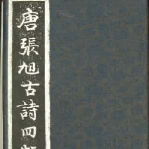 毛缘茜的头像