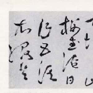 会员头像