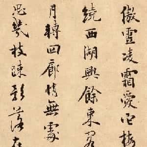 会员头像