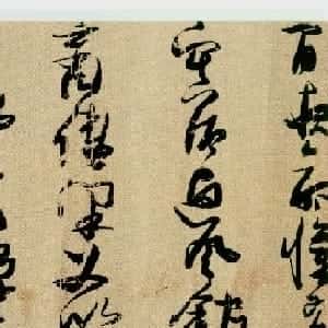 会员头像