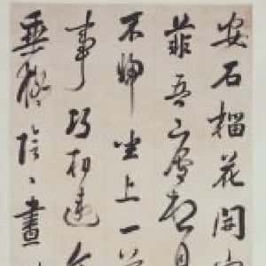 会员头像
