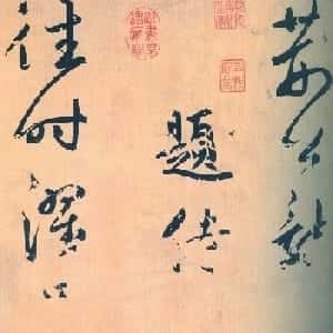 会员头像