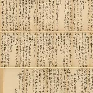 noa的头像