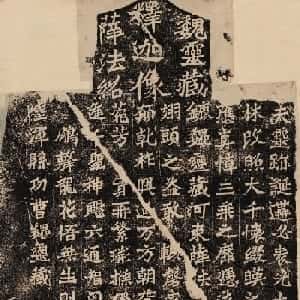 会员头像