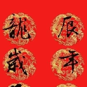 会员头像