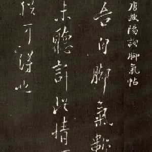 yahya的头像