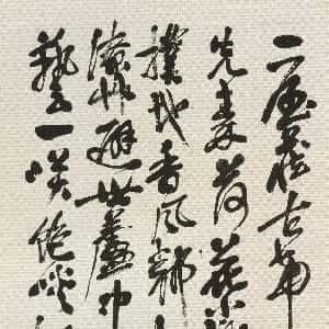 贾素微的头像
