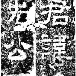 沈柯意的头像