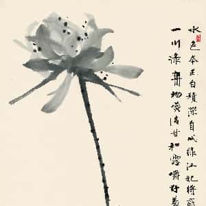 ursa的头像
