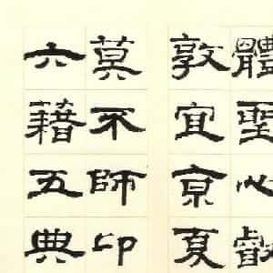 朱忻瑶的头像
