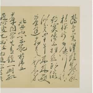 会员头像