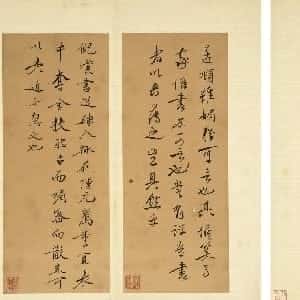 tykaja的头像
