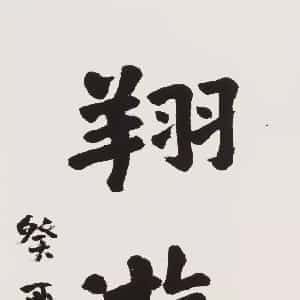 万琬桐的头像