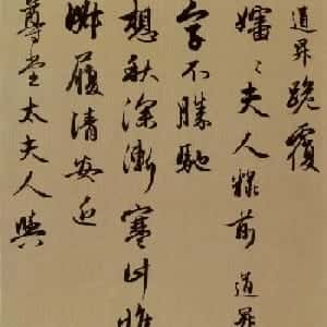 会员头像