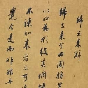 moe的头像