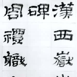 会员头像