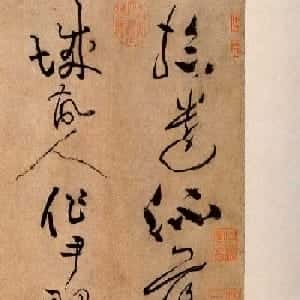 会员头像