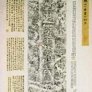 马婕菲的头像