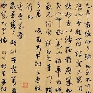 会员头像