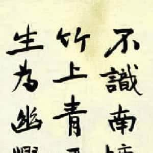 mila的头像