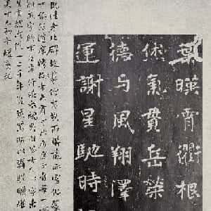 田珩智的头像