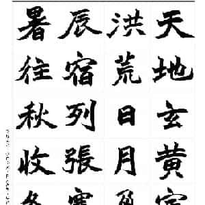 会员头像