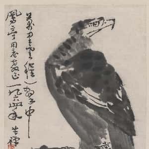 杜亦瑶的头像