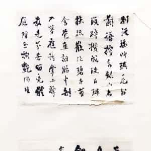 张洛颜的头像