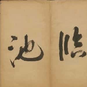 会员头像