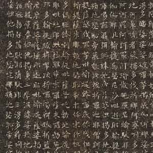 会员头像