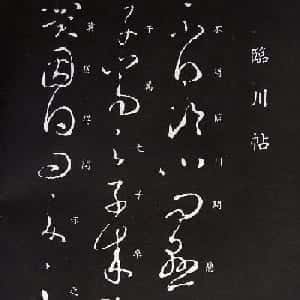 会员头像
