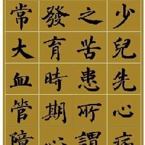严若敏的头像