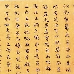会员头像