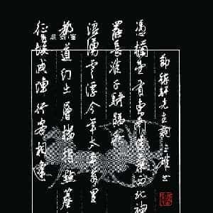 陈辛冉的头像