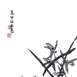 方婉茵的头像