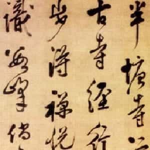 闫瑶枝的头像