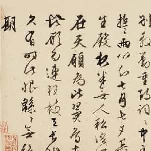 会员头像