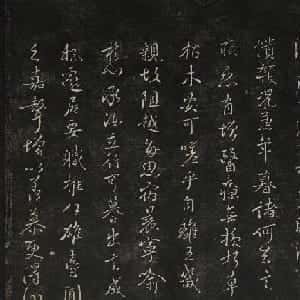 易熙哲的头像