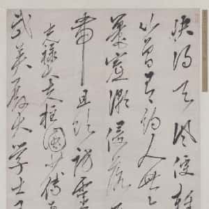 邹梦斐的头像