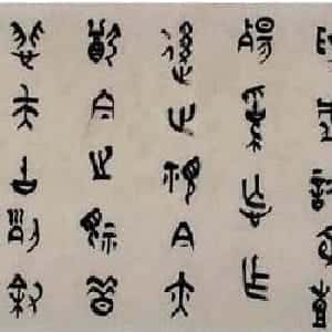 武朵伊的头像