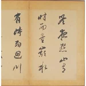 会员头像