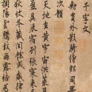 会员头像