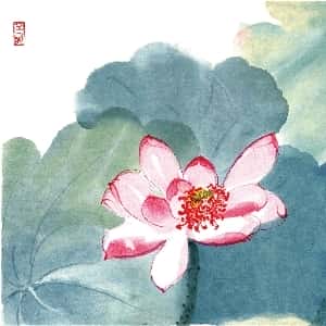会员头像
