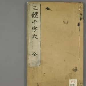 史蓝琪的头像