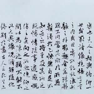 会员头像