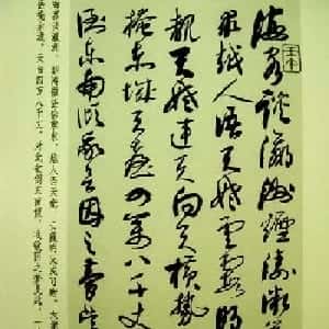 会员头像
