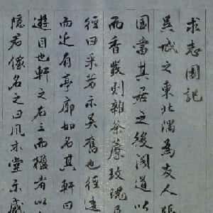 会员头像