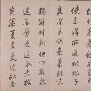 会员头像