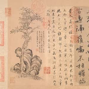 会员头像