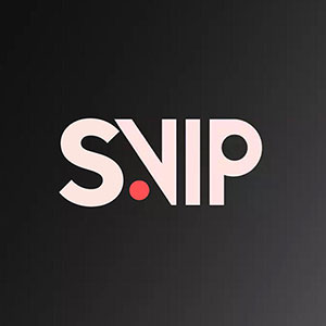SVIP会员权益说明,站内书画资料库免积分批量下载